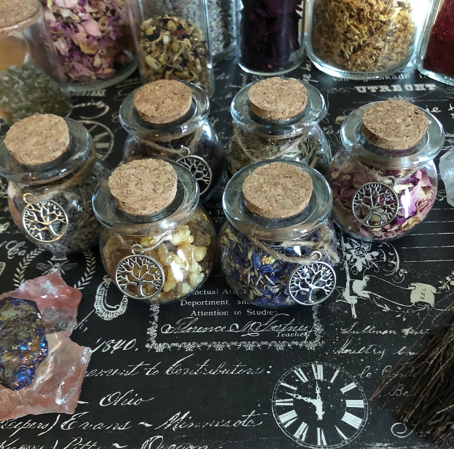 Glass Herb Jars You Pick Herbs/botanicals Resin Jars Herb Etsy