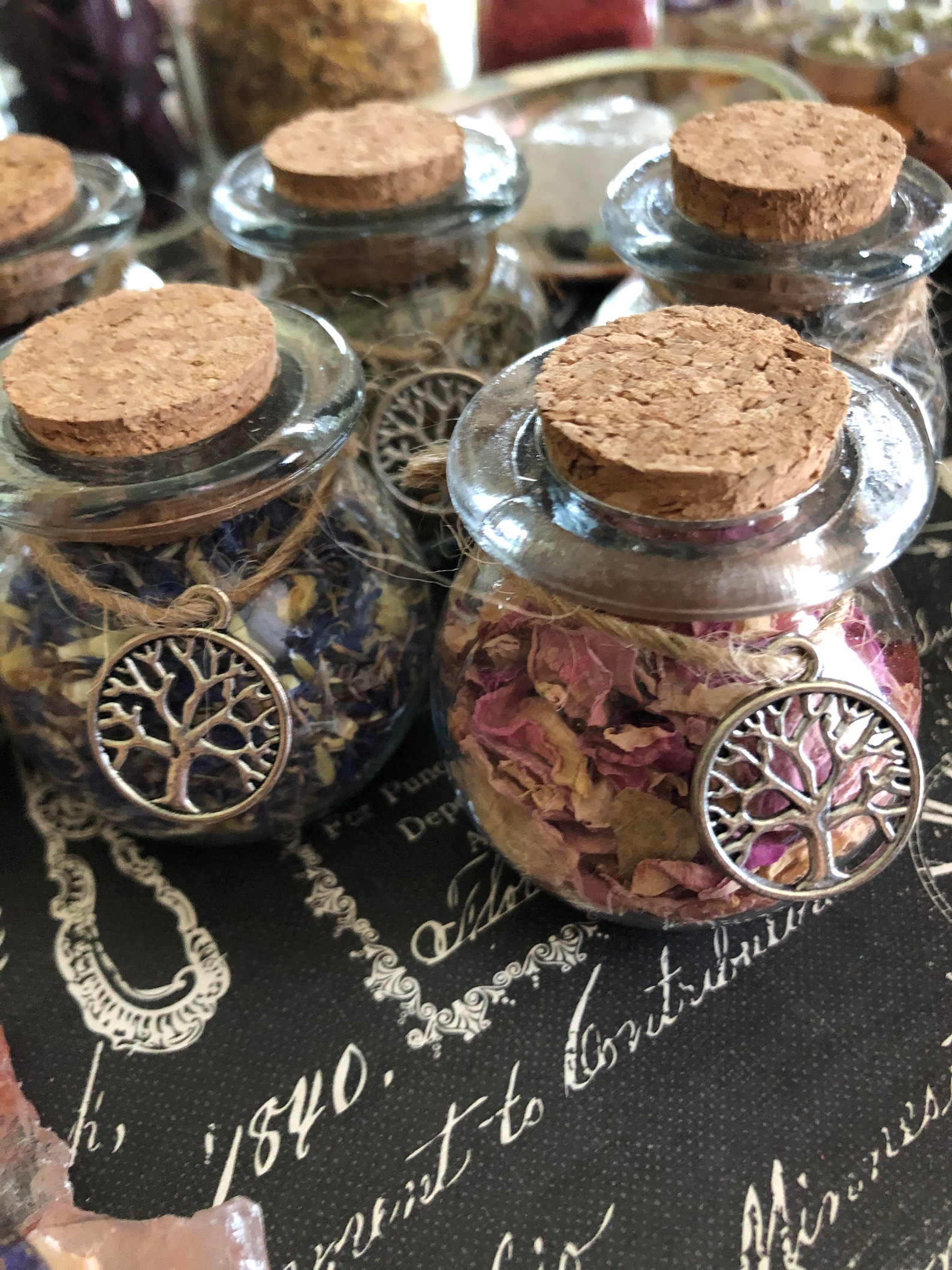 Glass Herb Jars You Pick Herbs/botanicals Resin Jars Herb Etsy