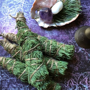 May include: Three bundles of green cedar smudge sticks tied with twine, on a purple and black background with a seashell and crystals.