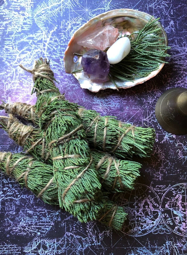 May include: Three bundles of green cedar smudge sticks tied with twine, on a purple and black background with a seashell and crystals.