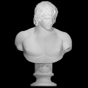 Portrait of Antinous