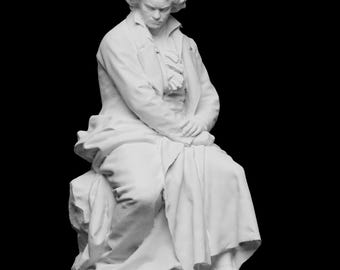 Ludwig van Beethoven (Bioplastic)