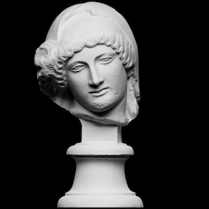 Head of the Mourning Penelope