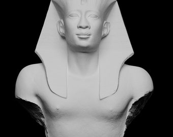 Portrait of Pharaoh Amasis (Bioplastic)