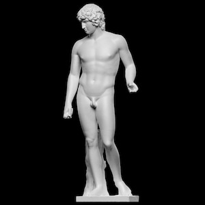 Antinous Farnese (Bioplastic)