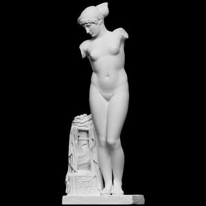 Esquiline Venus (Bioplastic)
