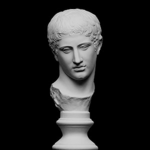 May include: A white plaster bust of a young person's head, set against a black background. The sculpture features detailed facial features and short, curly hair. The bust is mounted on a pedestal.