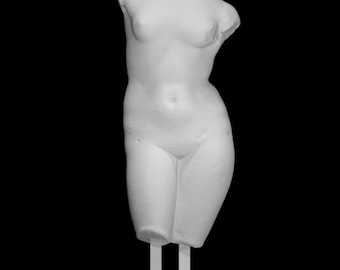 Puede incluir: Una escultura de yeso blanco de un torso femenino, sin cabeza ni un brazo. La escultura está montada sobre una base rectangular con dos soportes verticales, sobre un fondo negro.