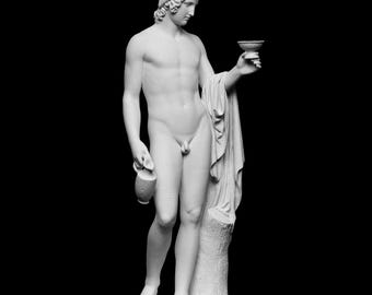 Ganymede Offering the Cup (Bioplastic)