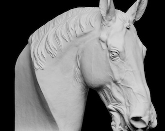 Peut inclure: Une sculpture en plâtre blanc représentant la tête et le cou d'un cheval, sur fond noir. La sculpture est détaillée, montrant la crinière, l'œil et les traits du visage du cheval. La sculpture est montée sur une base rectangulaire.