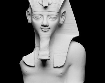 Amenhotep III  (Bioplastic)