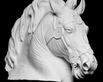 Paardenhoofd van het ruiterstandbeeld van Marcus Aurelius