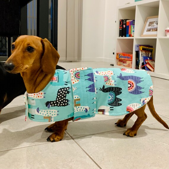 Learn 95+ about dog jumpers australia cool NEC