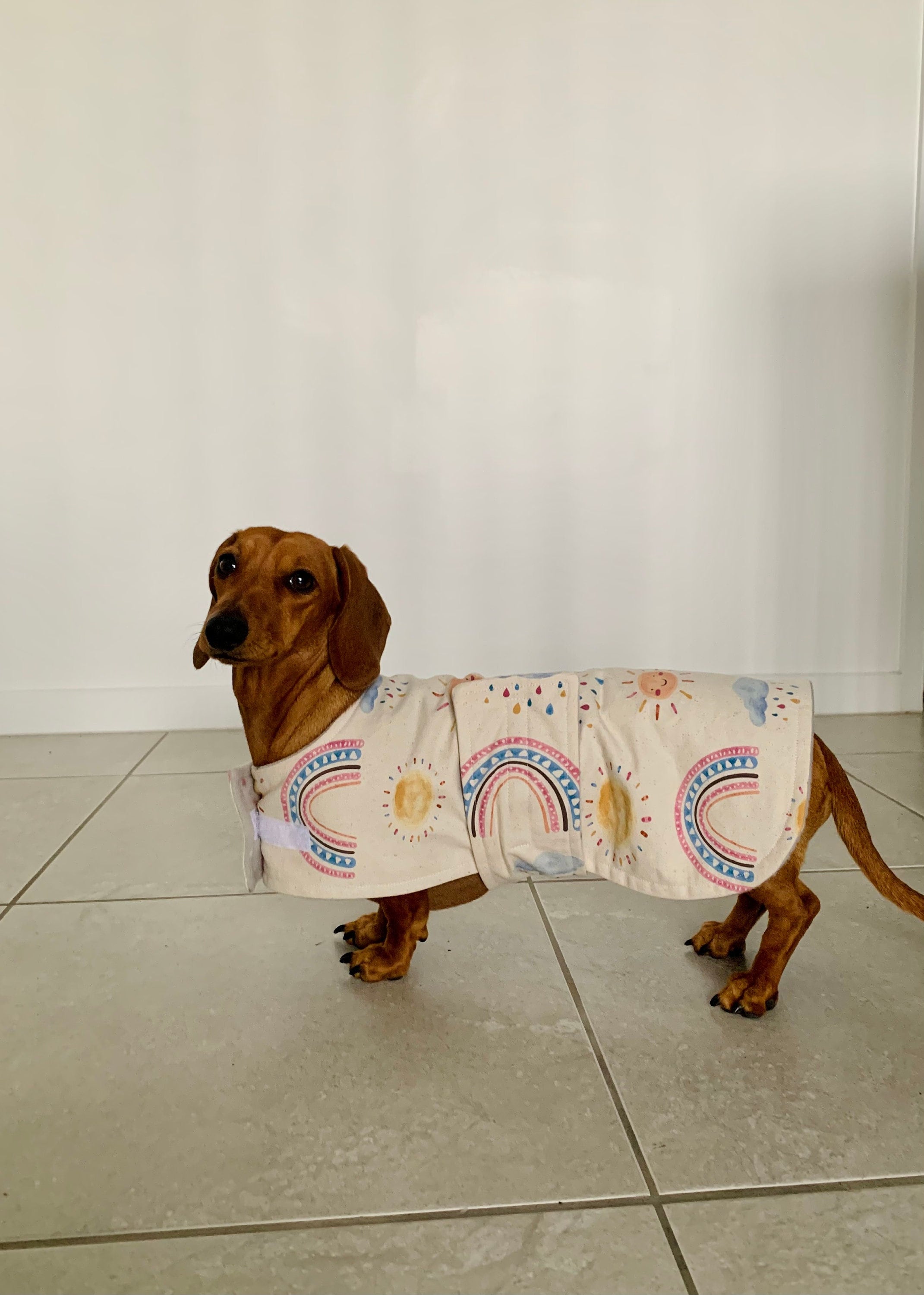 Custom Dog Coats Choose Your Fabrics. Made to Measure. Etsy Australia