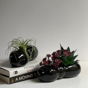May include: Two black ceramic planters shaped like a worm, one with a green succulent and the other with a red succulent, sitting on top of two books. The books are titled "A Moving So" and "New America".