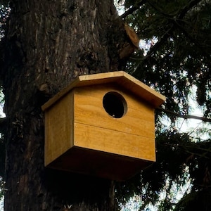 May include: A wooden birdhouse with a circular entrance hole is mounted on a tree trunk. The birdhouse is rectangular with a pitched roof and is made of light-colored wood. The tree trunk is dark brown, and the background includes green foliage.