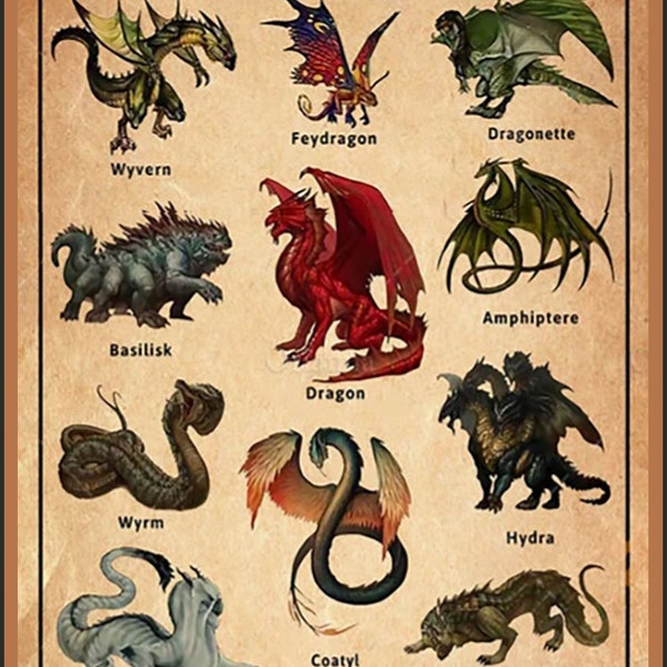 Dragon Identity Chart - Art Print on Aluminum Plate Dungeons & Dragons
