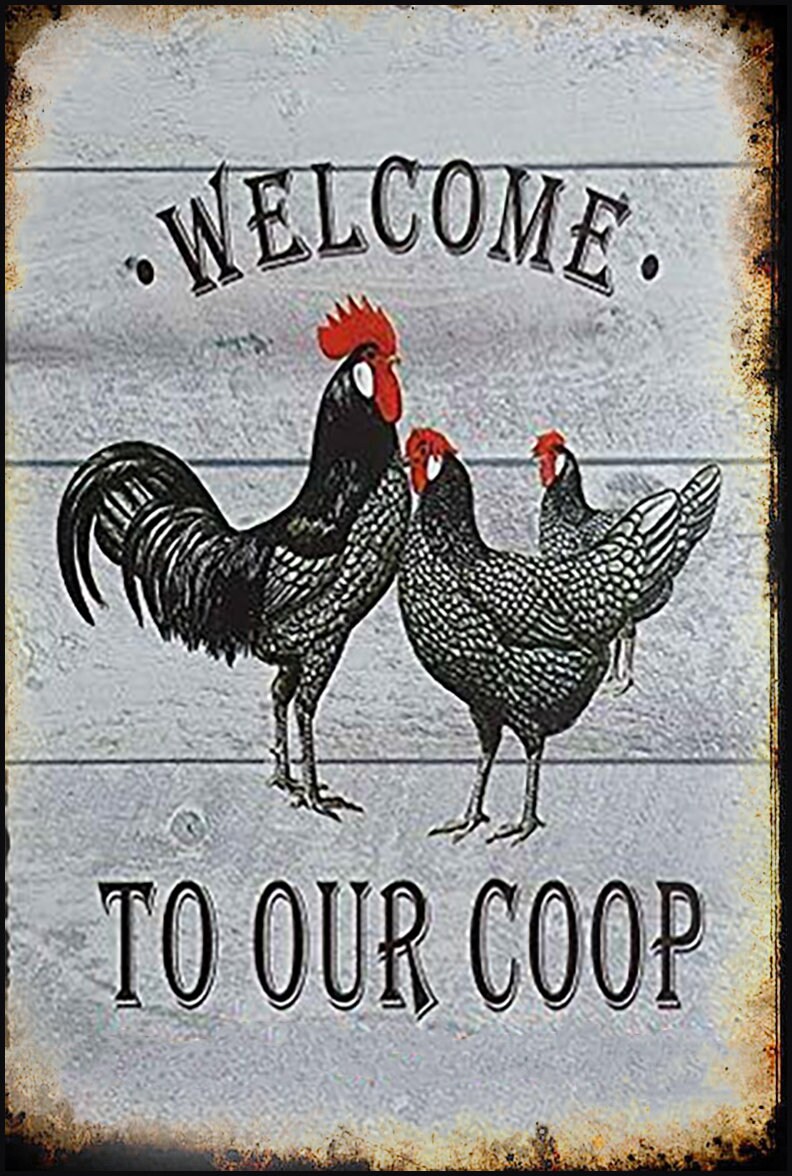 Cartello In Metallo 'Welcome To Our Coop' Con Gallina – Decorazione Da Esterno 20x30 Cm, Per Giardino E Fattoria