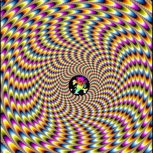 Motion Illusion Grateful Dead Dancing Bear in Space Psychedelic Deadhead Trippy Metal Poster