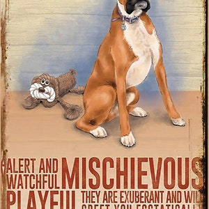 Boxer Dog Lover Personality Metal Poster Sign