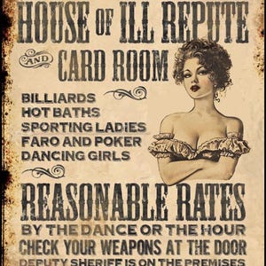 Skanky&#39;s House of Ill Repute Parody Old West Vintage Style Metal Poster Sign