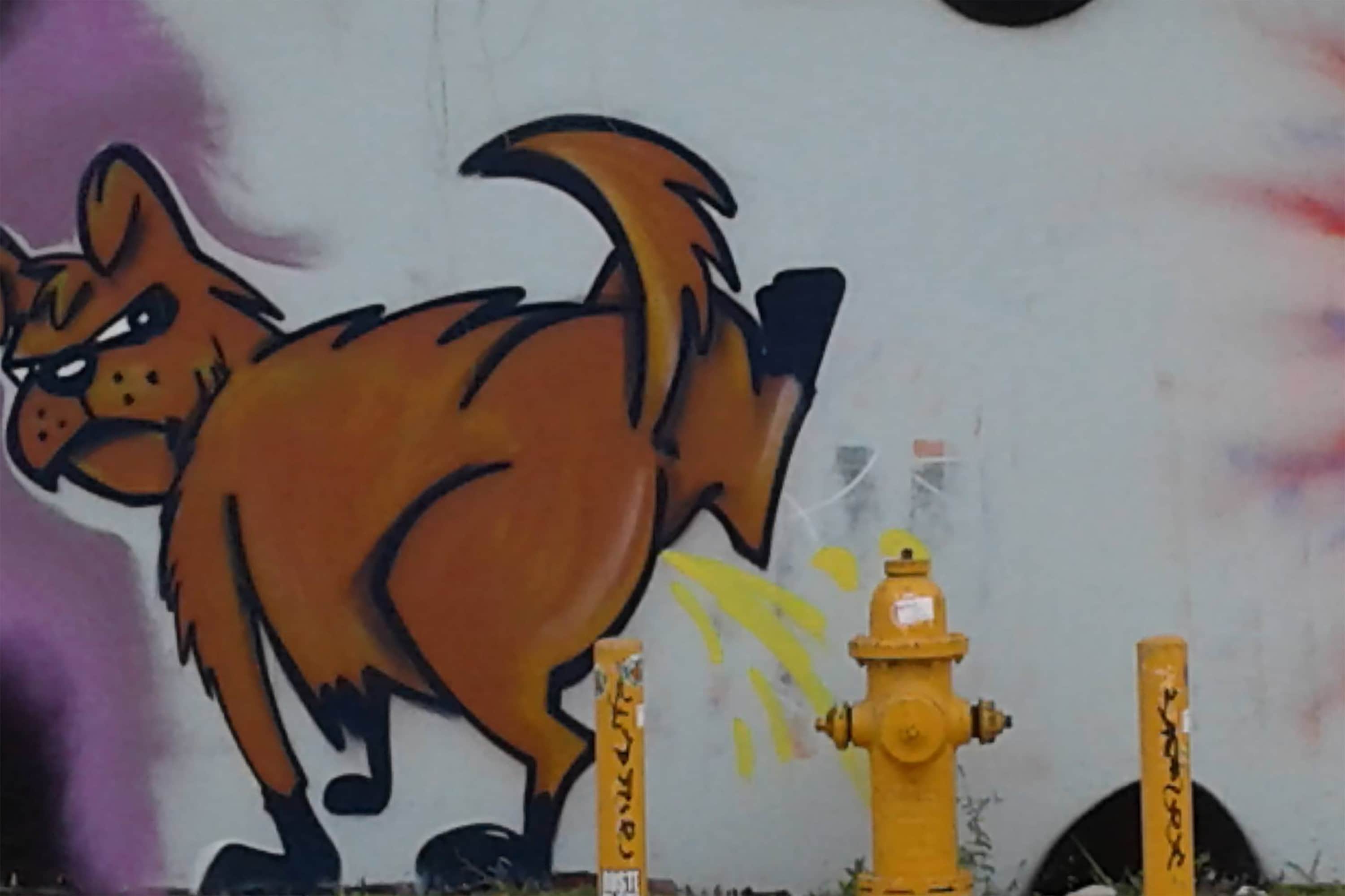 Why Do Dogs Like To Pee On Fire Hydrants