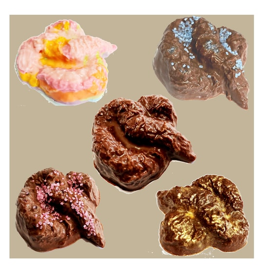5 Variations of Chocolate Poo Funny Rude Naughty Novelty Etsy