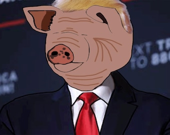 Encargo de arte furry