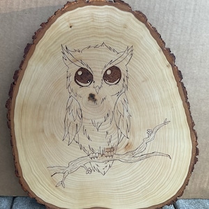 Cartoon Owl / Wood Burned /Pyrography