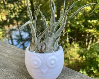 Cute Owl Planter | Air Plant Planter | Air Plant Holder | Airplant Holder | Air Plant Hanger | Airplant Hanger | Succulent Planter