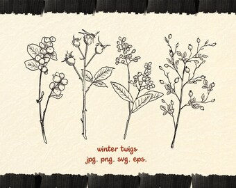 Hand-Drawn Winter Twigs Clipart | Botanical Illustrations (PNG, SVG, EPS)