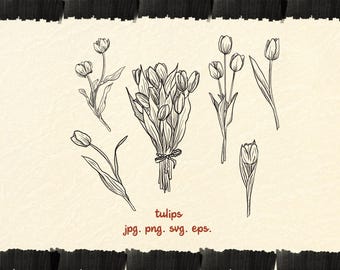 Tulip Line Art Clipart - Hand Drawn Floral Vector Illustration (PNG, SVG)