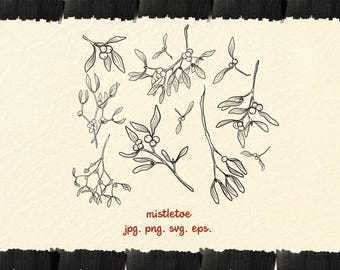 Hand-Drawn Mistletoe Clipart, Line Drawing, Festive Foliage (svg, png, jpg, eps)