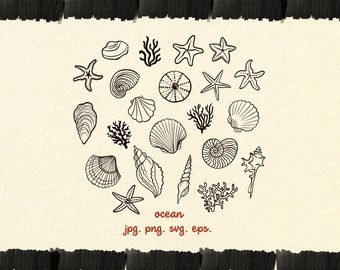 Nautical Seashell Clipart Bundle, Hand-Drawn Marine Life (png, jpg, eps, svg)