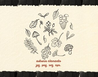 Fall Autumn Line Art Clipart | Hand Drawn Vector | Autumn Fine Line Outline Elements | Drawing Illustration