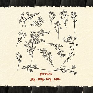Dessiné à la main des myosotis SVG, SVG de fleurs, Doodle fleurs, clipart fleurs, dessin au trait, fleurs de myosotis PNG, fleurs sauvages svg