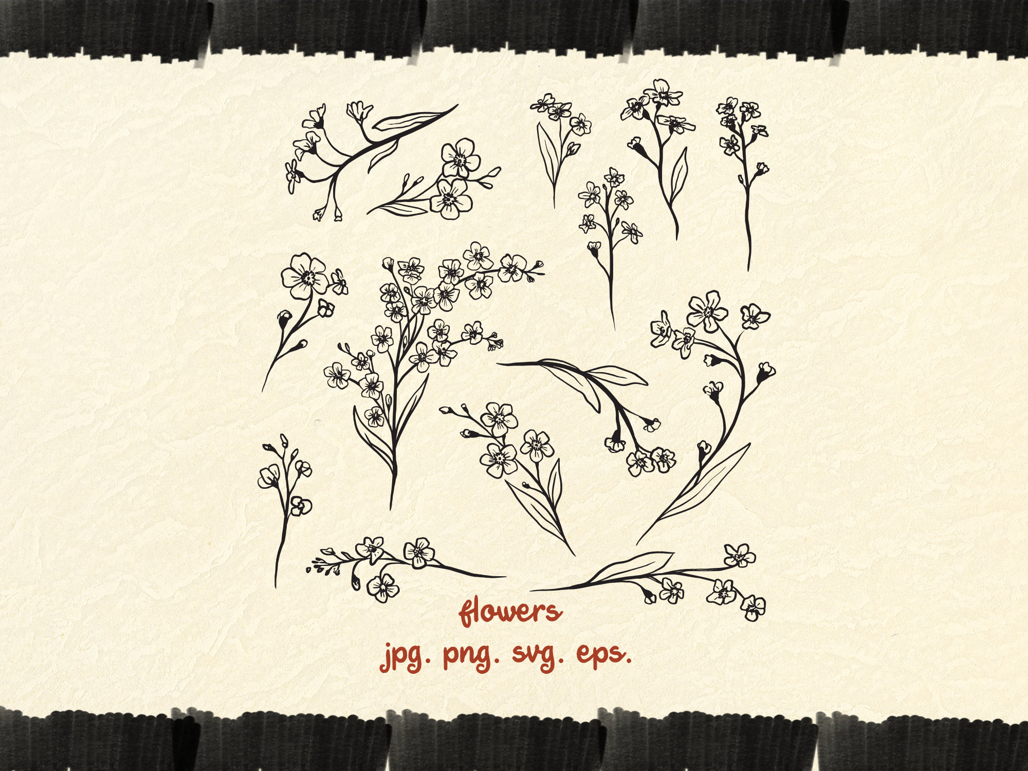 Pack SVG de Nomeolvides Hecho a Mano | Line art de Flores Silvestres, Clipart de Flores Doodle PNG JPG EPS