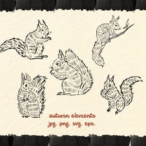 Dessin au trait écureuil | Vecteur dessiné à la main d'automne | Éléments de contour fin écureuil | Dessiner une illustration