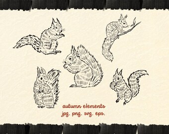 Squirrel Line Art Clipart | Hand-Drawn Vector Illustrations (png, jpg, svg, eps)