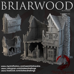 Briarwood - Medieval Shop 2 Ruins || Dark Realms | Scatter Terrain | Skirmish Wargaming Terrain | DnD | Frostgrave | Mordheim Terrain