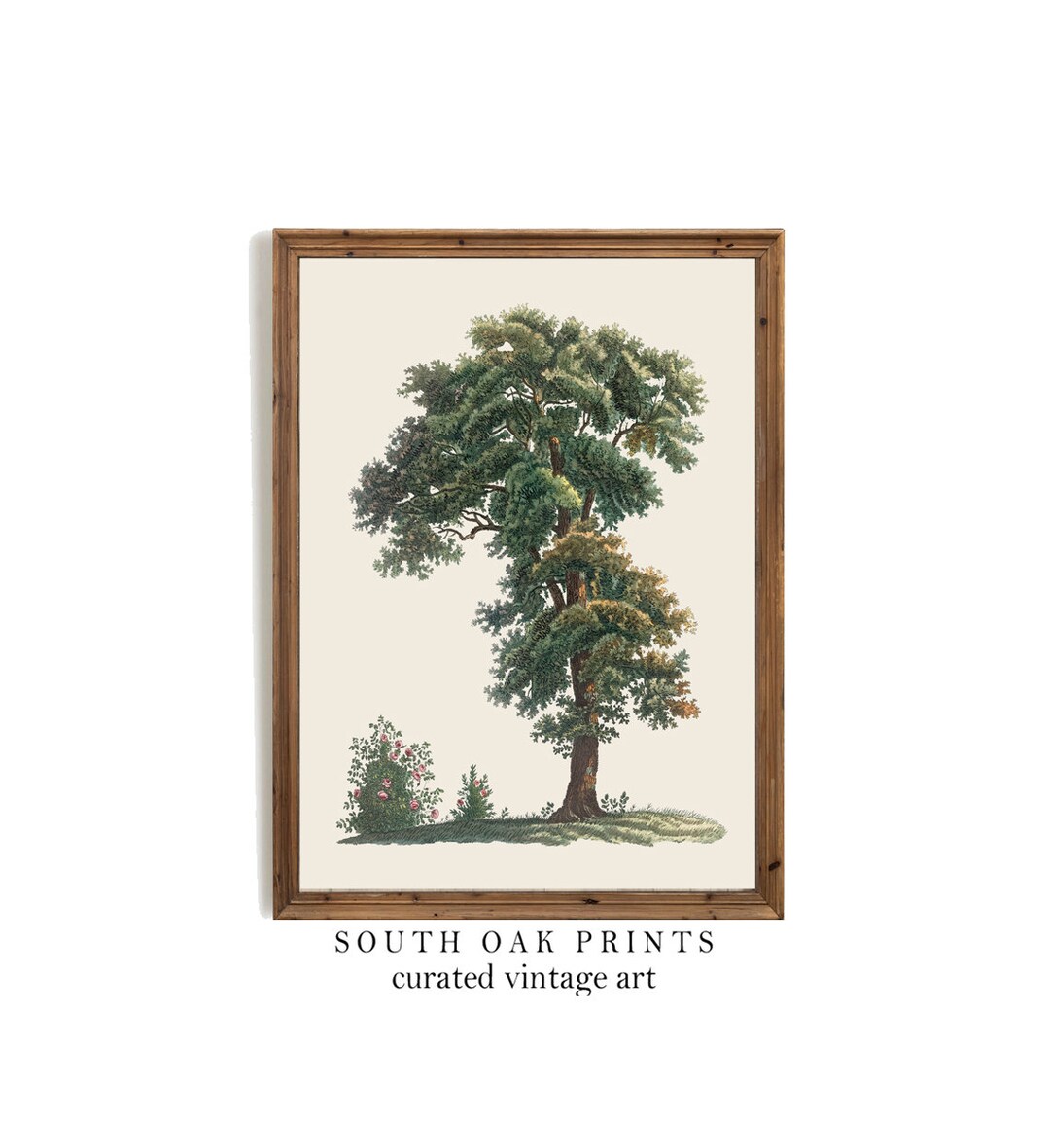 Oak Tree and Rose Bush Print Vintage Botanical Digital Etsy
