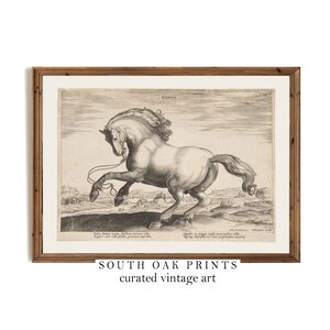 Vintage Horse Art Print Sketch Drawing | PRINTABLE | Neutral Equestrian Wall Art | SKT2