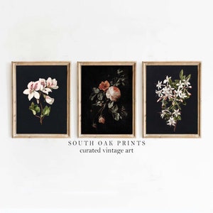 Könnte beinhalten: Drei gerahmte botanische Vintage-Drucke mit schwarzen Hintergründen und weißen Blüten. Die Drucke zeigen einen weißen Geranium, eine weiße Rose mit rosa Akzenten und eine Gruppe weißer Jasminblüten.