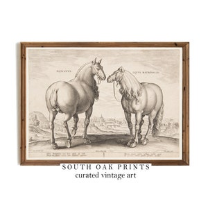 Vintage Horses Sketch Drawing | PRINTABLE | Farmhouse Neutral Wall Art | SKT1