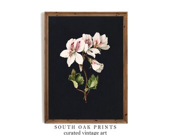 Azalea Vintage Botanical Moody Print | Dark Floral Still Life Wall Art Oil Painting | PRINTABLE Digital Antique Bedroom Dining Room| | BOT22
