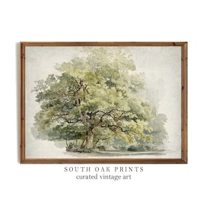 Oak Tree Wall Art Vintage Antique Drawing Painting Outdoor Nature Dining Living Room Bedroom Home Decor PRINTABLE Digital FILE Download TRE5