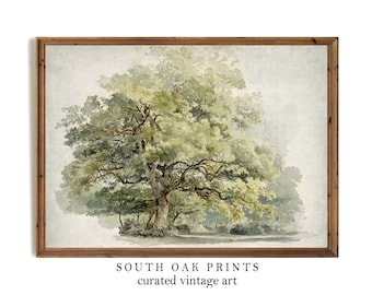 Oak Tree Wall Art Vintage Antique Drawing Painting Outdoor Nature Dining Living Room Bedroom Home Decor PRINTABLE Digital FILE Download TRE5