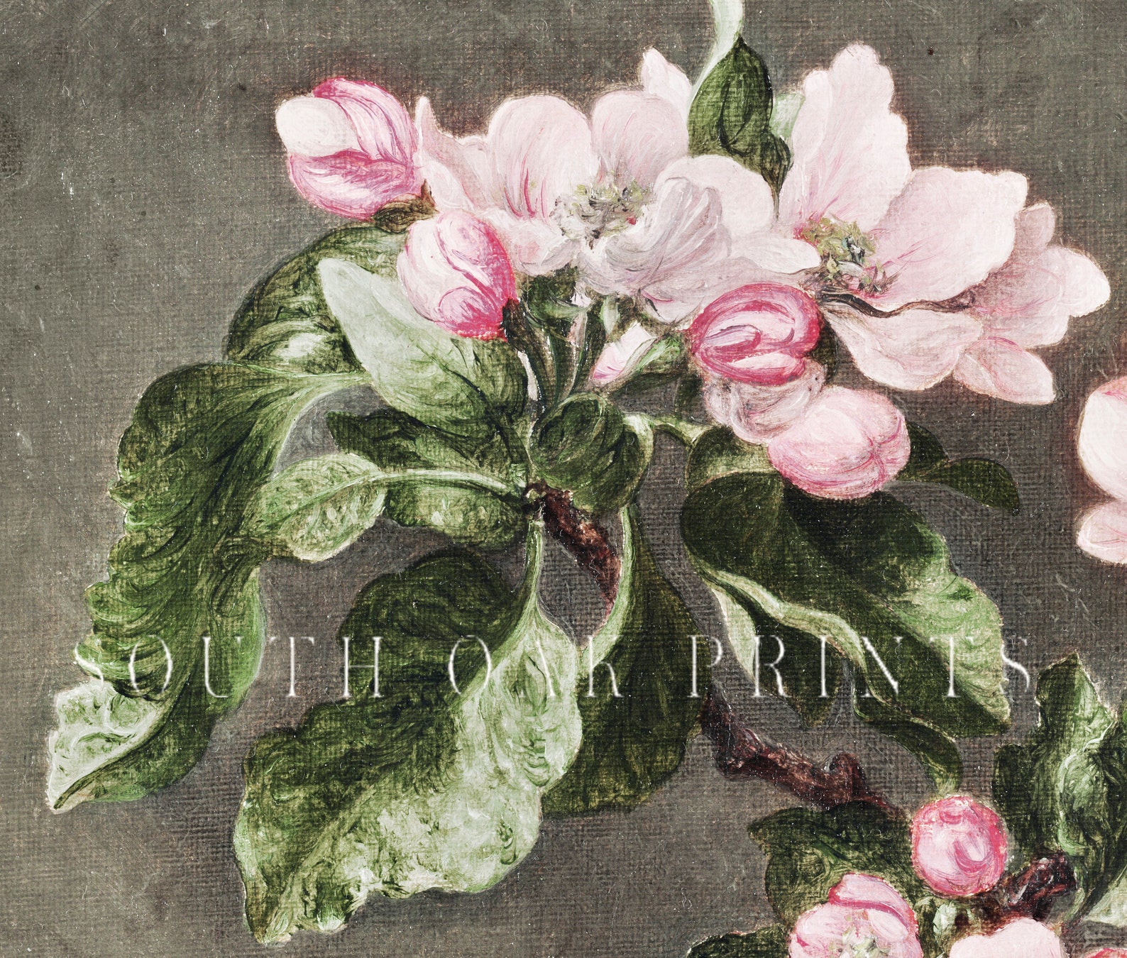 Apple Blossom Tree Vintage Botanical Print Wall Art PRINTABLE | Digital ...