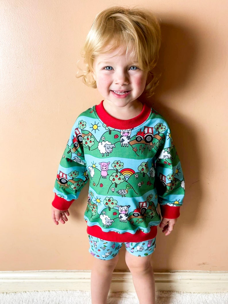Puede incluir: Un ni&ntilde;o o ni&ntilde;a lleva una sudadera de manga larga azul y verde con estampado de animales de granja. La sudadera tiene ribetes rojos y un patr&oacute;n de rayas rojas y blancas. El ni&ntilde;o o ni&ntilde;a tambi&eacute;n lleva pantalones cortos azules y verdes con estampado de animales de granja.