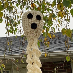 May include: A white crocheted ghost with a black face and a spiral tail hanging from a tree branch.